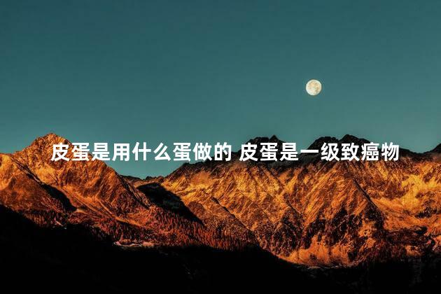 皮蛋是用什么蛋做的 皮蛋是一级致癌物